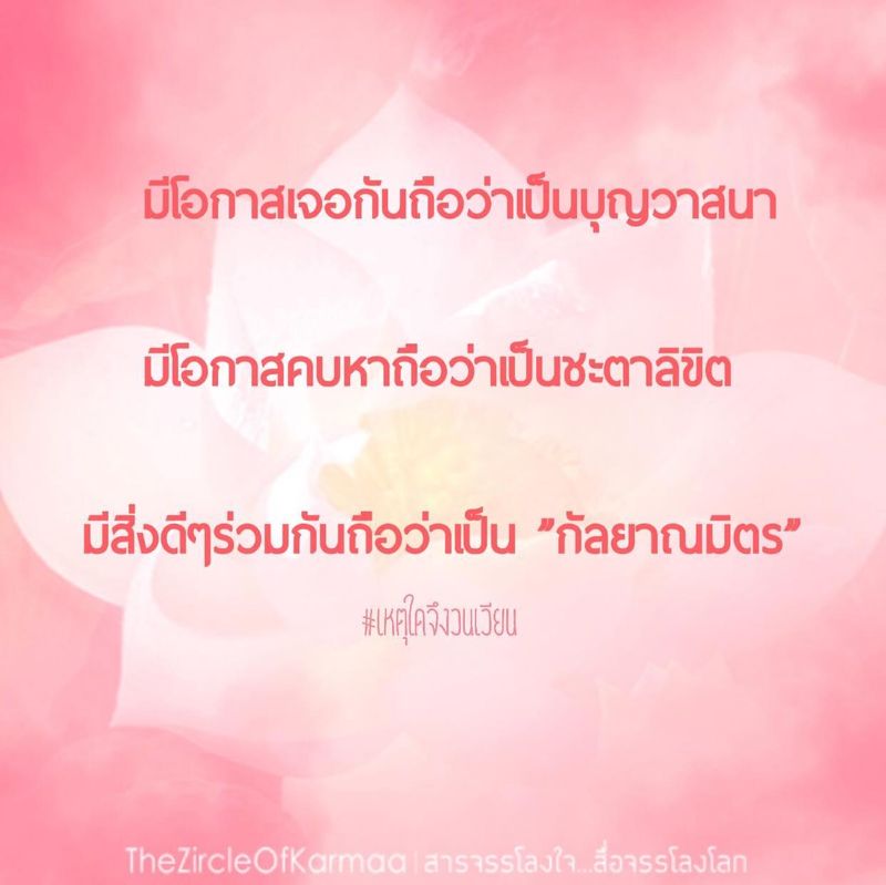 เหตุใด?จึงวนเวียน] มีโอกาสเจอกันถือว่าเป็นบุญวาสนา มีโอกาสคบหาถือว่าเป็นชะตาลิขิต  มีสิ่งดีๆร่วมกันถือว่าเป็น ”กัลยาณมิตร” 🍃 . . . #เหตุใด?จึงวนเวียน  #เหตุใดจึงวนเวียน @Thezircleofkarmaa #Thezircleofkarmaa #สารจรรโลงใจส