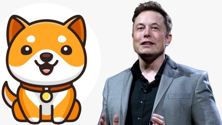 Mr.Freedrop] ข่าววันนี้ Musk คนบ้าเหรียญหมา เหรียญอื่นกล่าวโจมตี  ถ้าขึ้นชื่อว่าหมา เขาชอบมากเลย (เลิกขายรถไฟฟ้าจะเปิดฟาร์มเลี้ยงหมามั้ง)  Elon Musk Tweet Sends New Baby Doge Coin Soaring — Meme Token'S Daily Gains