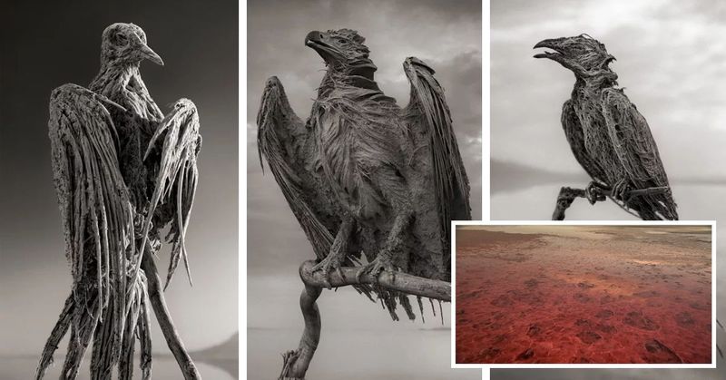 นี่แหละเมดูซ่าตัวจริง ”ทะเลสาบ-เนตรอน” สามารถเปลี่ยนทุกสิ่งมีชีวิต ”ให้กลายเป็นหินได้”