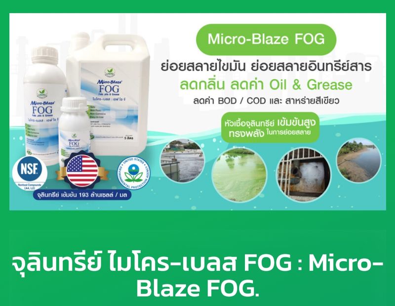 [Micro-Blaze จุลินทรีย์ดับกลิ่นเหม็นและกำจัดแมลงวัน] #แก้ปัญหาไขมันอุด ...