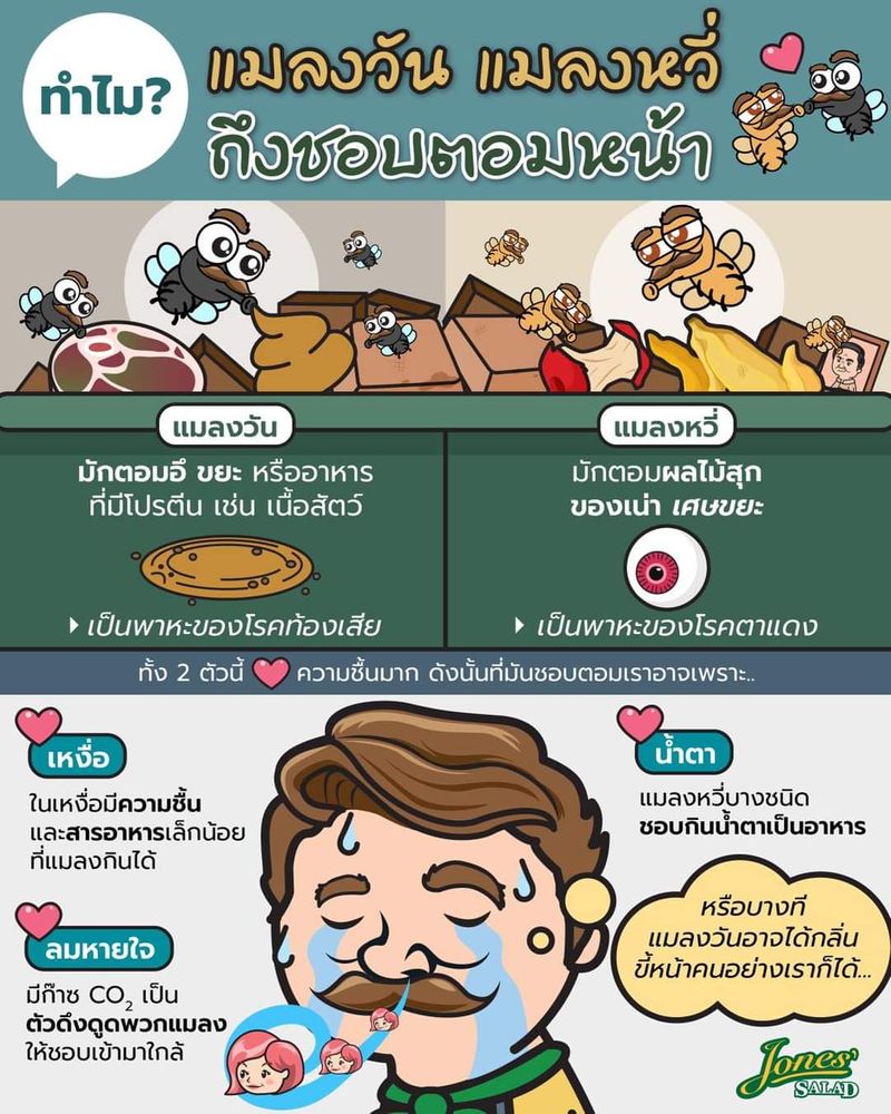 รายการ 92+ ภาพพื้นหลัง ย้อมผมแล้วแมลงหวี่ตอม สวยมาก รายการ 92+ ภาพพื้นหลัง ย้อมผมแล้วแมลงหวี่ตอม สวยมาก