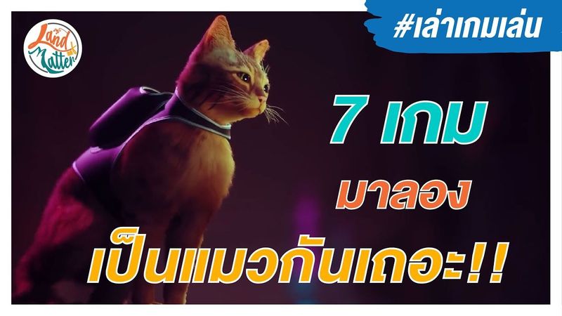 7 เกมที่มาลองเป็นแมวเหมียวกันเถอะ | Land of Matter