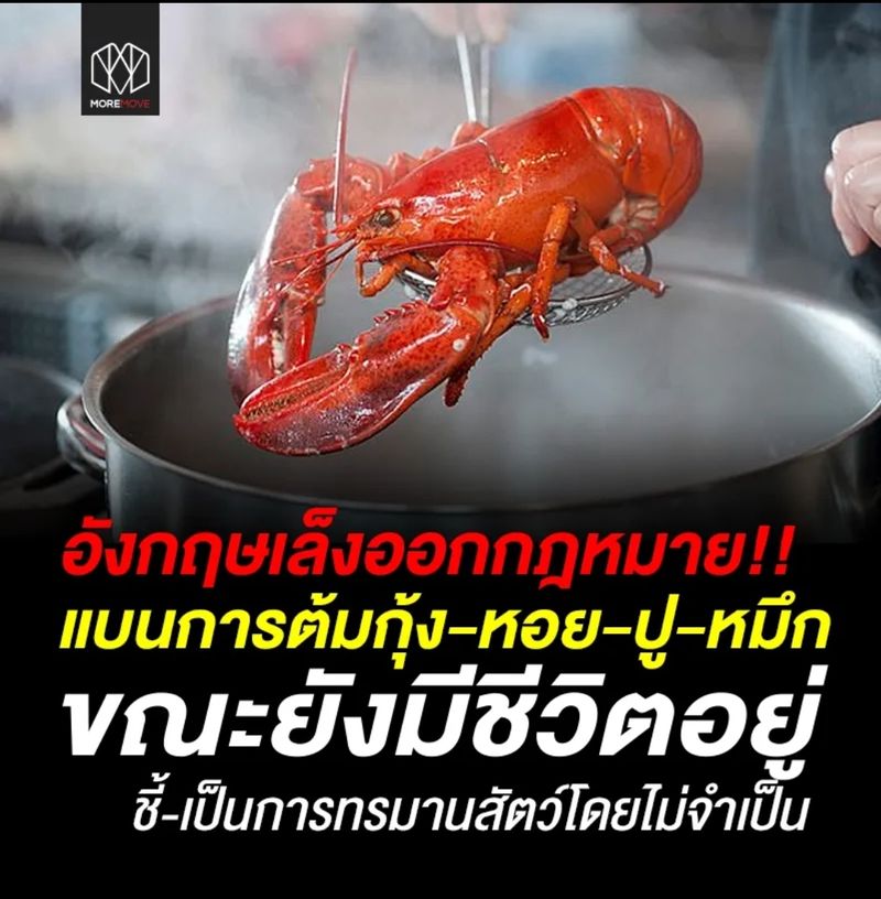 My Image 22