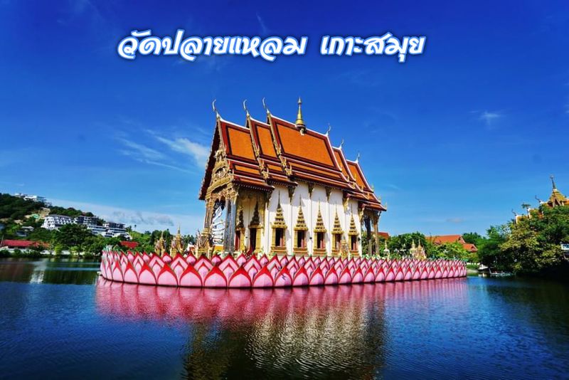 เมืองไทยไดอารี่ By Supawan] วัดแหลมสุวรรณาราม (วัดปลายแหลม) วัดสวย เกาะสมุย  .. สุราษฎร์ธานี วัดแหลมสุวรรณาราม หรือ ที่ชาวบ้านที่นี่นิยมเรียกกันว่า วัดปลายแหลม  ... เป็นวัดเก่าแก่ที่ก่อตั้งขึ้นตั้งแต่ปี พ.ศ 2423 เป็นวัดที่มีความสำ