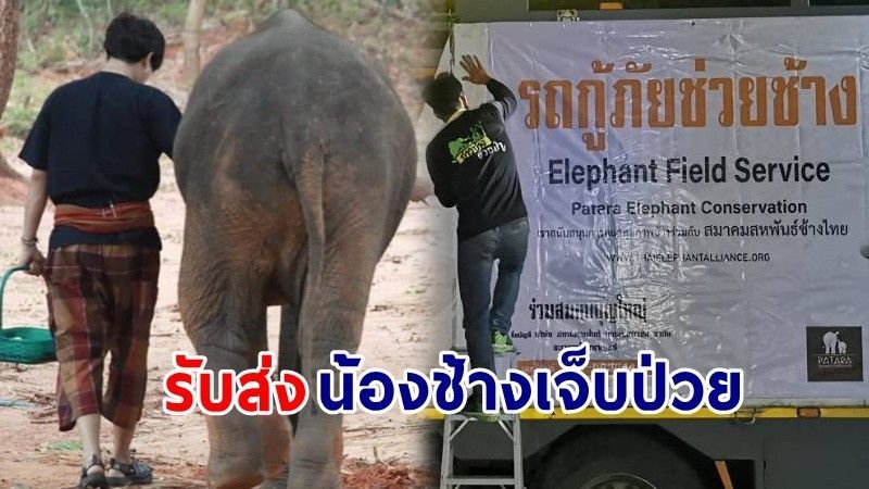 ″เป๊ก ผลิตโชค” และแฟนคลับ มอบเงิน 240,702 บาท ให้แก่สมาคมสหพันธ์ช้างไทย เนื่องในโอกาสครบรอบวันเกิด 37 ปี