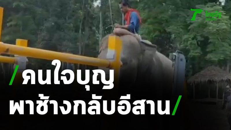 ผู้ใจบุญส่งรถบรรทุกขนช้างตกงานกลับบ้าน | 09-04-64 | ข่าวเย็นไทยรัฐ