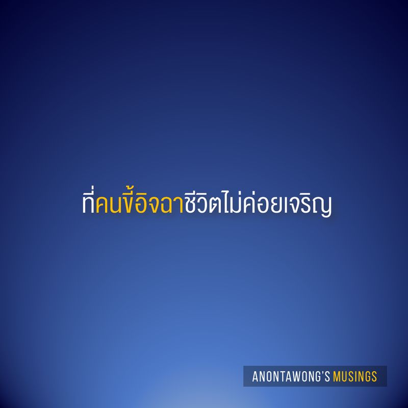My Image 11