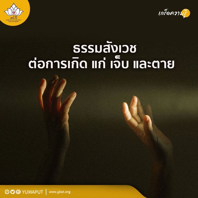My Image 11
