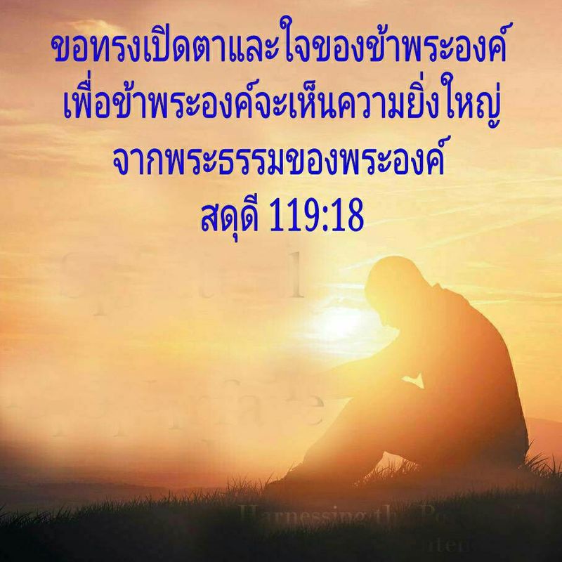 My Image 61