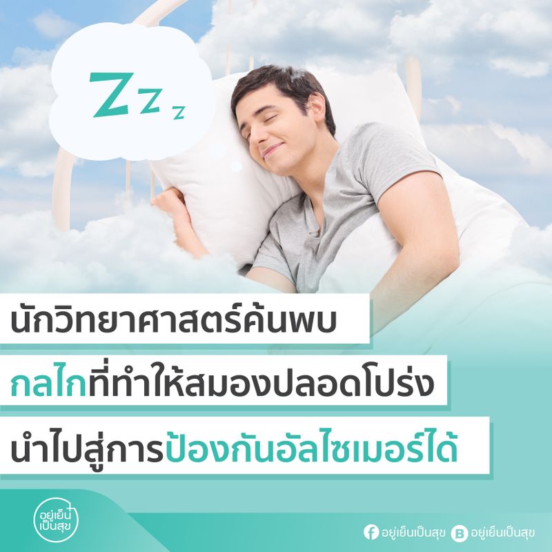 อัลบั้ม 93+ ภาพพื้นหลัง ในช่วงเวลาหลับลึกมาก ๆ คลื่นสมองจะเป็นรูปแบบใด ความละเอียด 2k, 4k