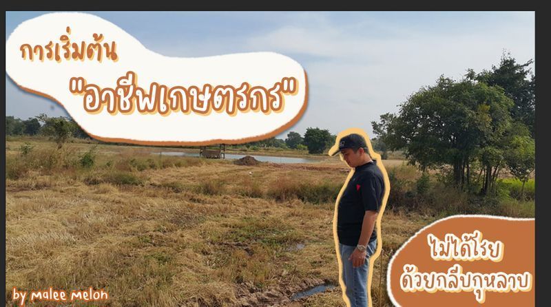[danghappy] การเริ่มต้นอาชีพเกษตรกร ไม่ได้โรยด้วยกลีบกุหลาบ