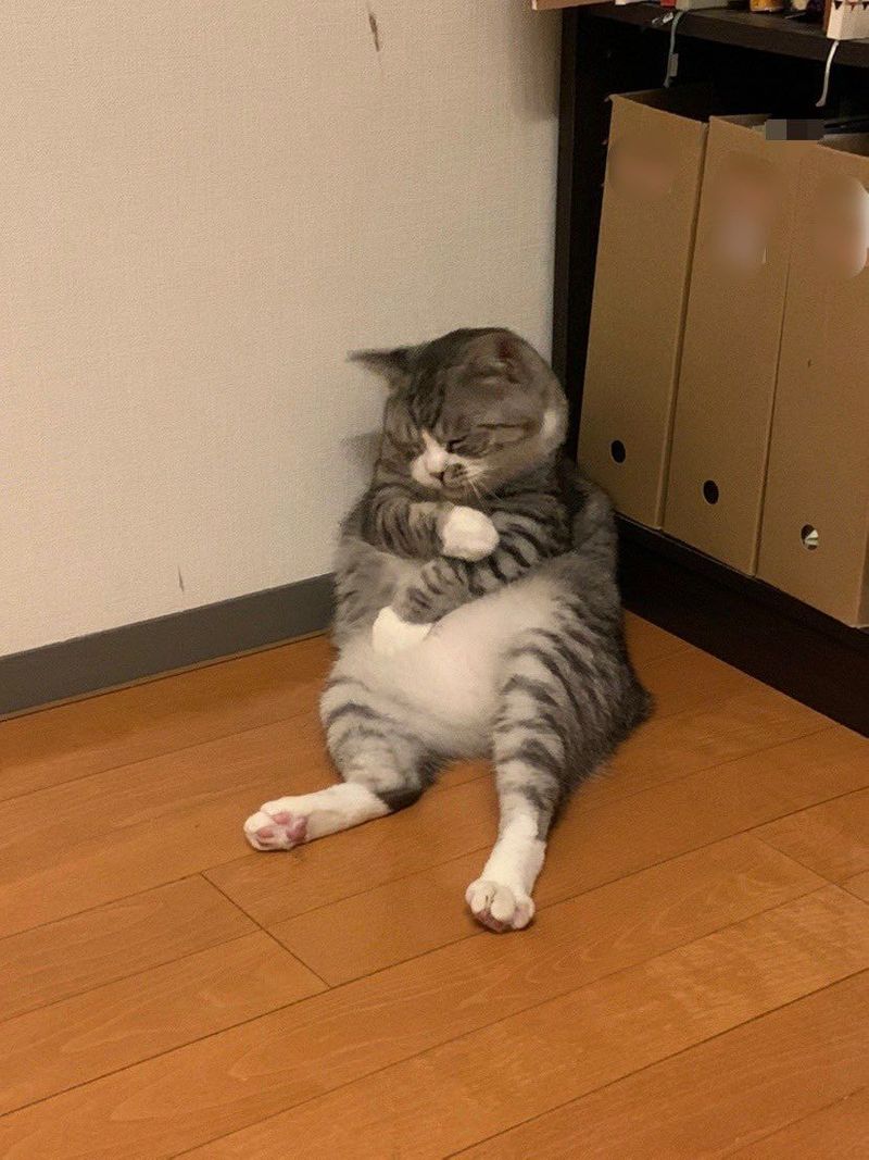 ろくなな on Twitter