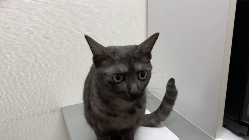 おじびー on Twitter
