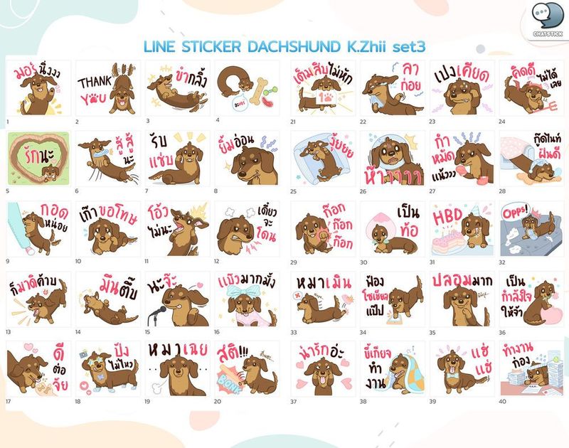 “Dutchun” สติกเกอร์น้องหมาดัชชุนสุดน่ารัก✨ พร้อมมาสร้างสีให้ทุกห้องแชท