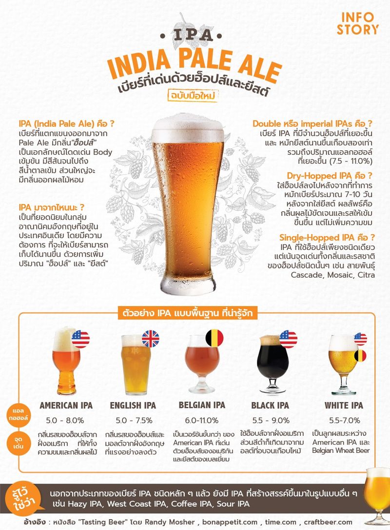  InfoStory India Pale Ale IPA 