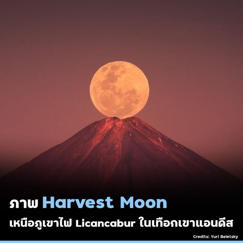 My Image 4