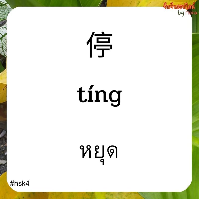 จีนจีนออนไลน์ By Mona] ตัวอย่าง 5 คำศัพท์เกี่ยวกับหยุด 停 Tíng หยุด #Hsk4