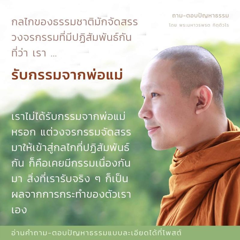 My Image 4