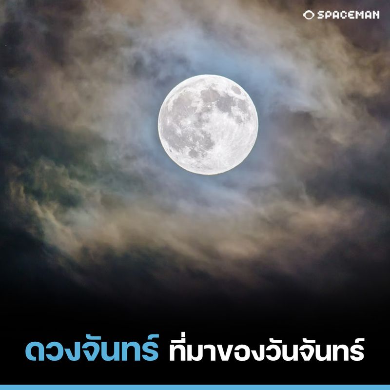 My Image 37