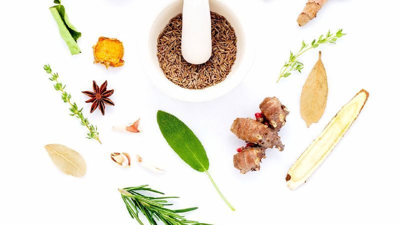 หนอนน้อยซ์เจ้าปัญหา M.D.🌈