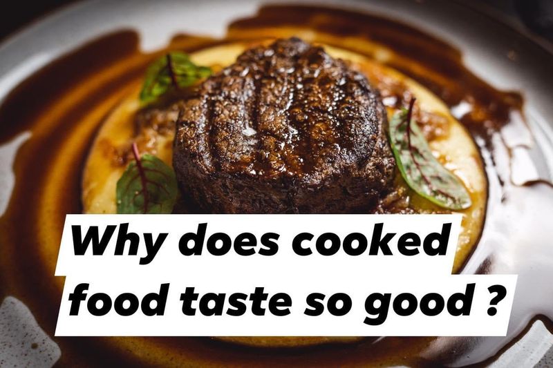 [Science & cooking technique ] Why does cooked food taste so good? เป็น