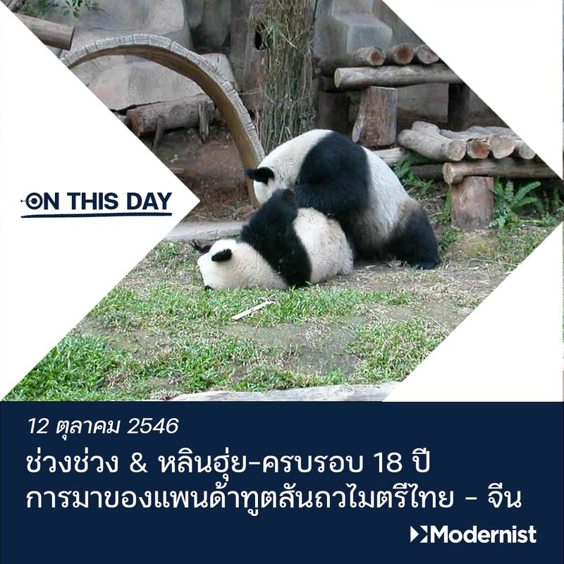 My Image 15