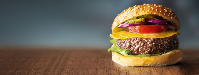 Growing Beef — Mosa Meat