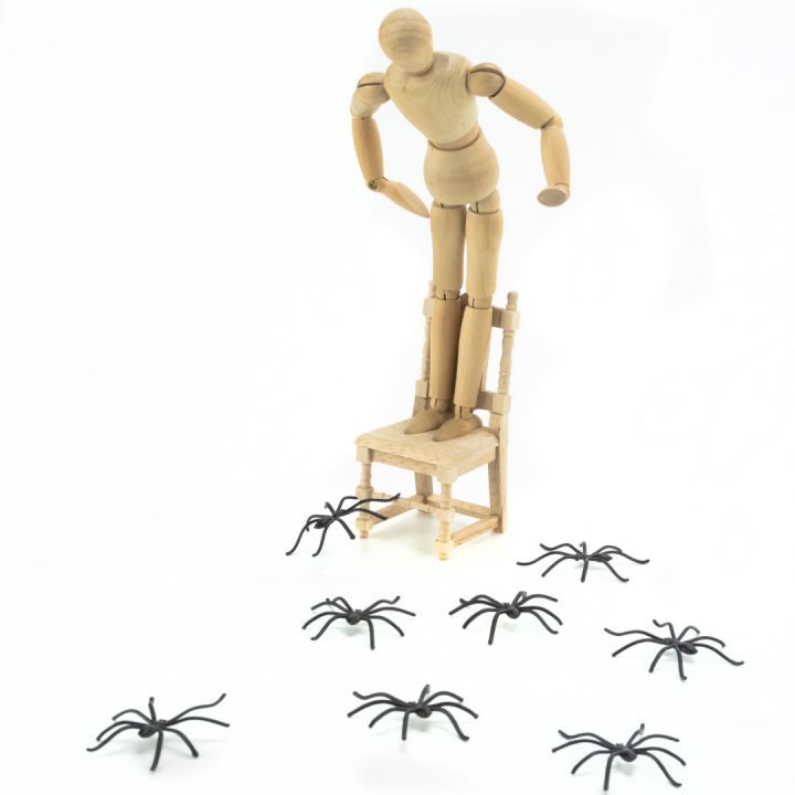 ขจัดโรคกลัวแมงมุมด้วยแอปพลิเคชัน AR