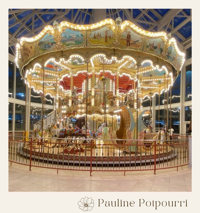 [Pauline Potpourri] Danbury Fair Mall 🛍 พอมาถึง Danbury น้องแป้ง