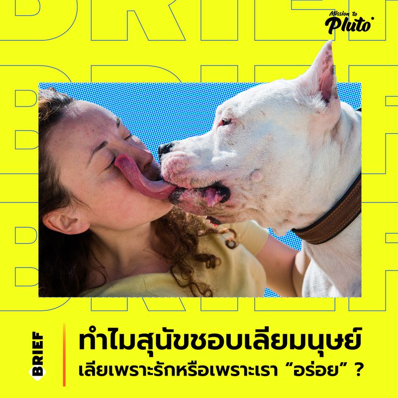 My Image 3