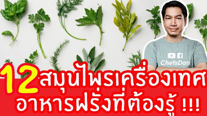 12 เครื่องเทศสมุนไพรฝรั่ง ที่ต้องรู้!!! คอ(อาหารฝรั่งที่ห้ามพลาด)