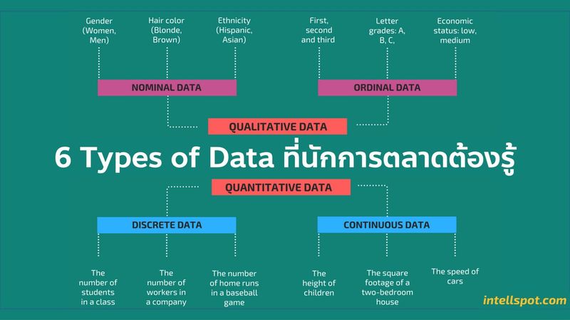 6 ประเภท Data: Quantitative Qualitative Nominal Ordinal Discrete และ Continuous