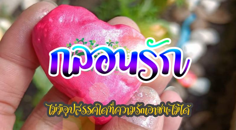 กลอนรักๆ กลอนรักๆ