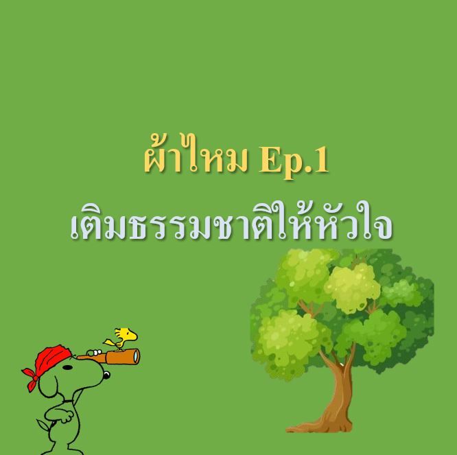 My Image 40