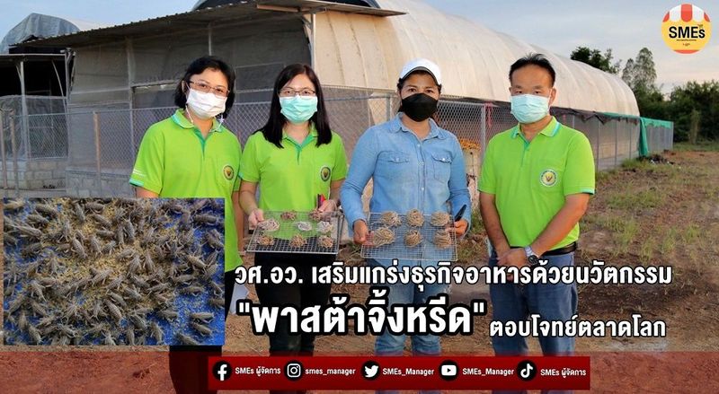 วศ. อว. เสริมแกร่งธุรกิจอาหารด้วยนวัตกรรม ”พาสต้าจิ้งหรีด” สร้างมูลค่าเพิ่ม ตอบโจทย์ตลาดโลก