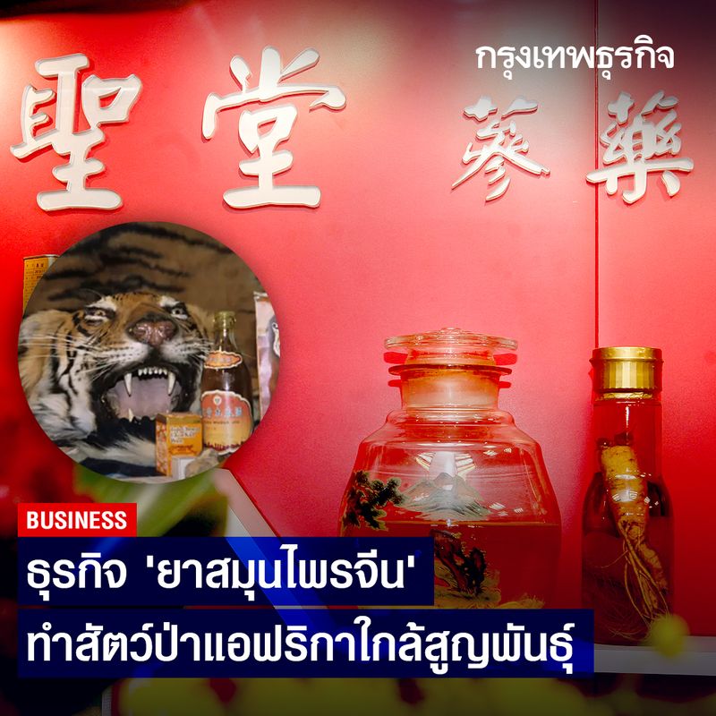 My Image 23