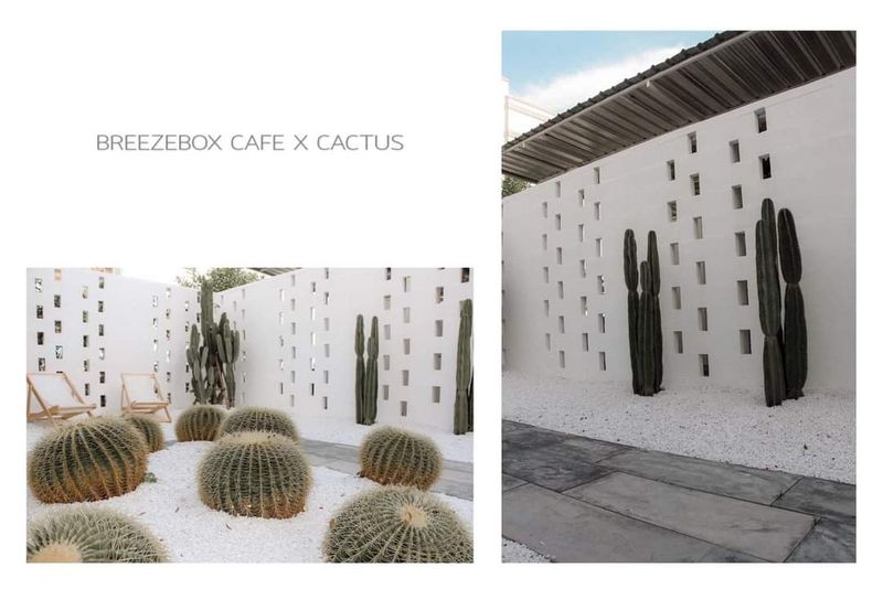 [รีวิวไปเรื่อย] Breezebox cafe x เราเที่ยวด้วยกัน 🌵🤍 ทุกคนรู้แฟนคลับรู้