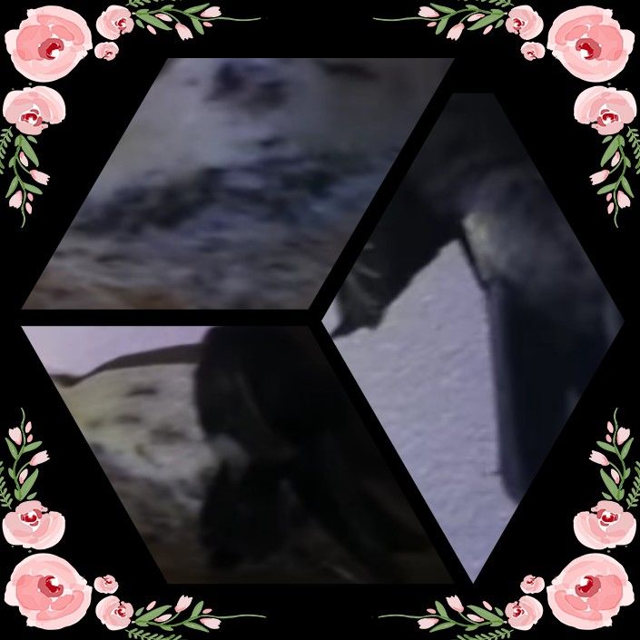 My Image 80