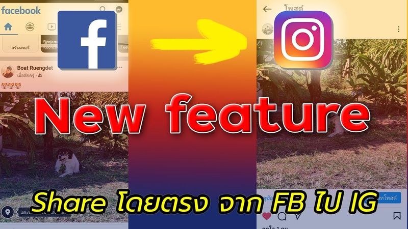 fb to ig