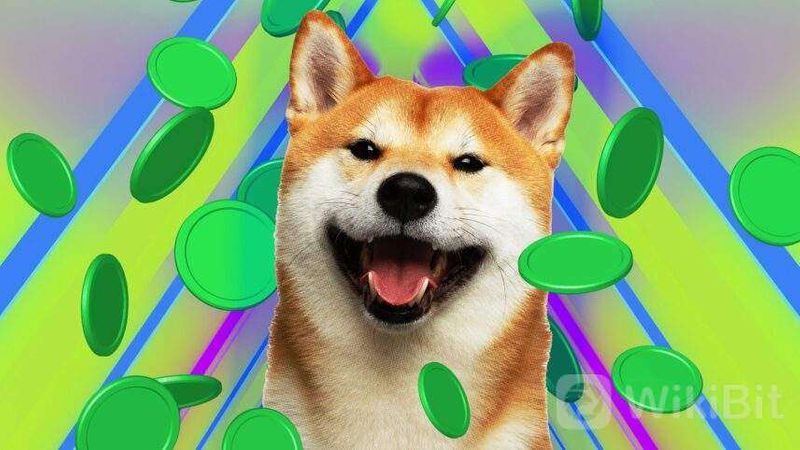 ลิง Chokbet – Giải mã Sức hút Độc đáo và Tương lai Huyền bí