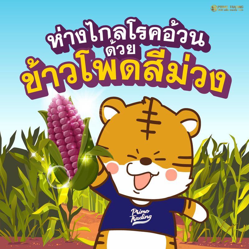 My Image 8