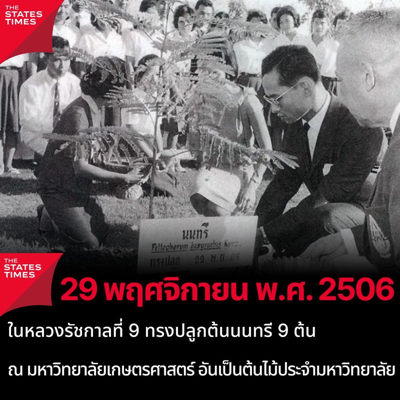 29 พฤศจิกายน พ.ศ. 2506 ในหลวงรัชกาลที่ 9 ทรงปลูกต้นนนทรี 9 ต้น ณ มหาวิทยาลัยเกษตรศาสตร์