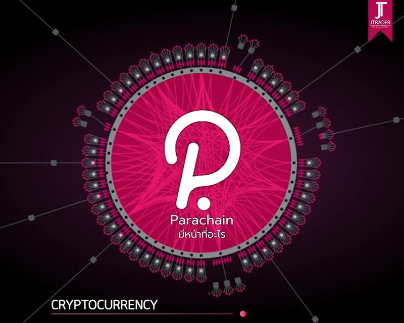 [JTrader : The Journey of Trader] Parachain มีหน้าที่อะไร? Parachain ...