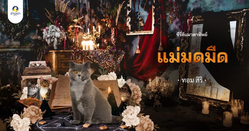SEO title preview:ซีรี่ส์แมวตาทิพย์ ”แม่มดมืด” บทที่ 11 : เจ้าหญิง