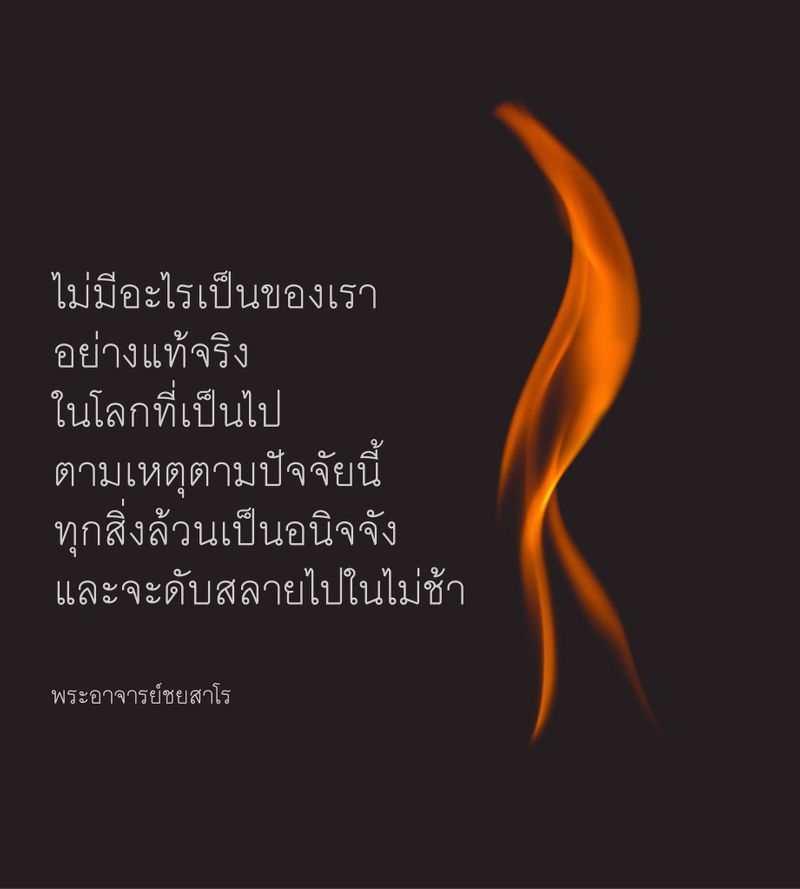 My Image 15