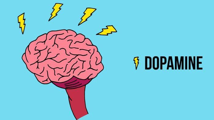 How To Increase The Level Of Dopamine And Forget About Depression And Anxiety