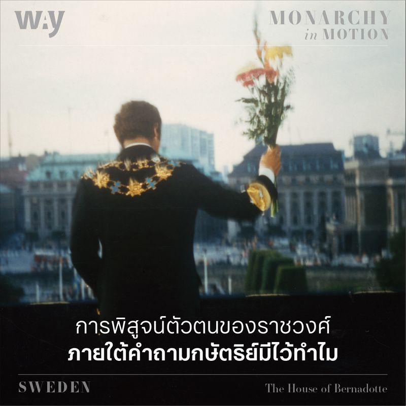 My Image 31