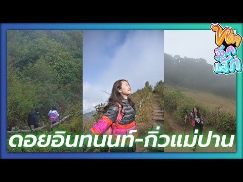 Vlog ง๊อกแง็ก : ดอยอินทนนท์ - กิ่วแม่ปาน ล่าสุด 2021 + youngfolk cafe