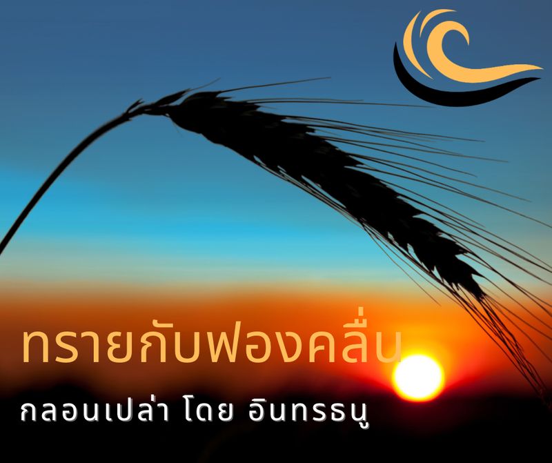 My Image 11