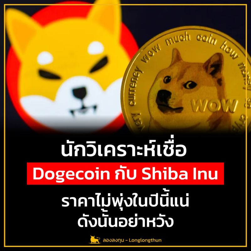 ลองลงทุน] นักวิเคราะห์เชื่อ Dogecoin กับ Shiba Inu ราคาไม่พุ่งในปีนี้แน่  ดังนั้นอย่าหวัง Christopher Vecchio นักยุทธศาสตร์ด้านสกุลเงินอาวุโสของ  Dailyfx บริษัทในเครือ Ig Group กล่าวให้สัมภาษณ์กับ Yahoo Finance ว